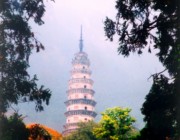 长清今天天气